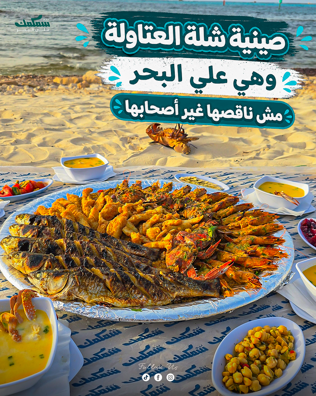 التصميمات